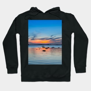 Summer Means Swimming Hoodie